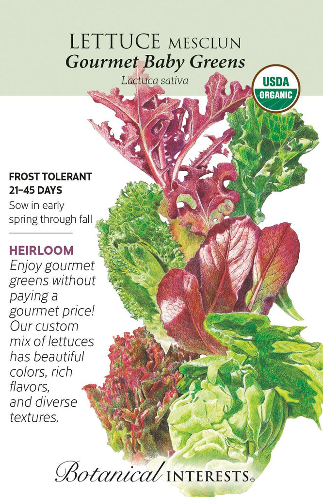 Gourmet Baby Greens Mesclun Lettuce