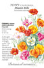 California Poppy Wildflower Seeds