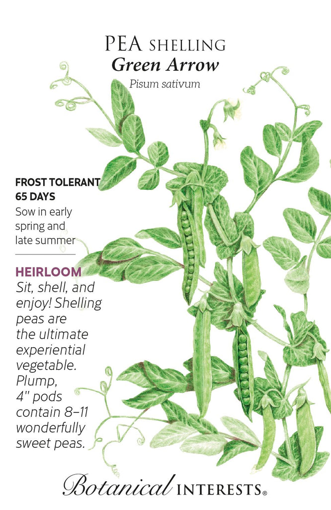 Green Arrow Shelling Pea Seed