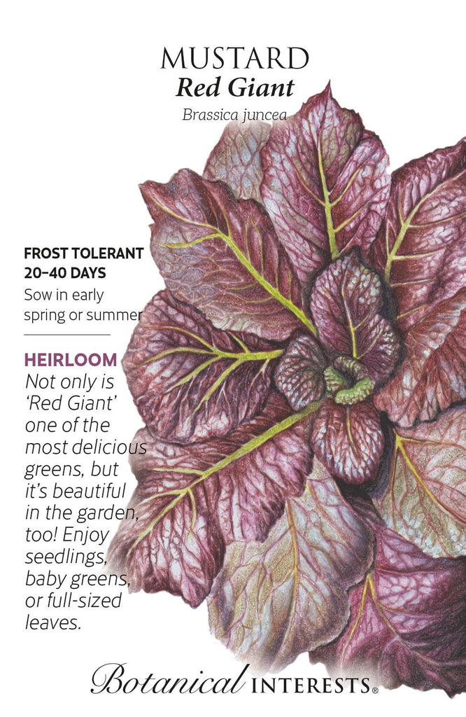 Red Giant Mustard Greens Seed