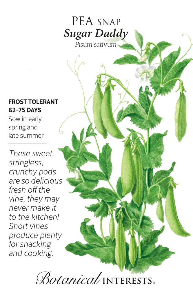 Sugar Daddy Snap Pea