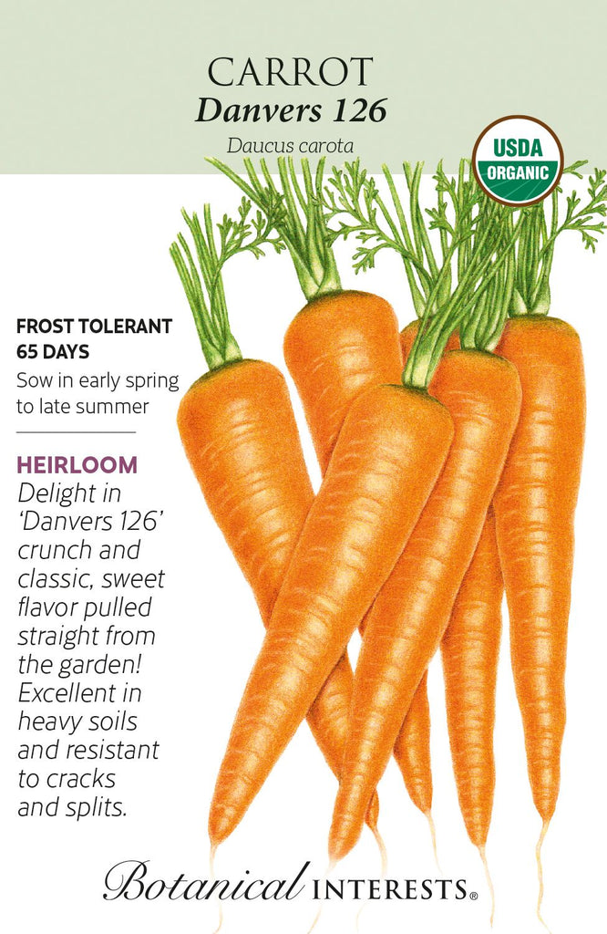 Danvers 126 Carrot Seeds