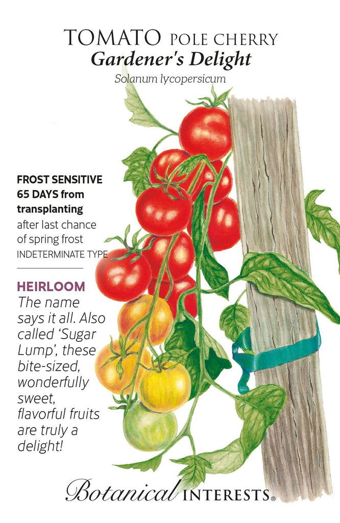 Gardener's Delight Pole Cherry Tomato Seeds