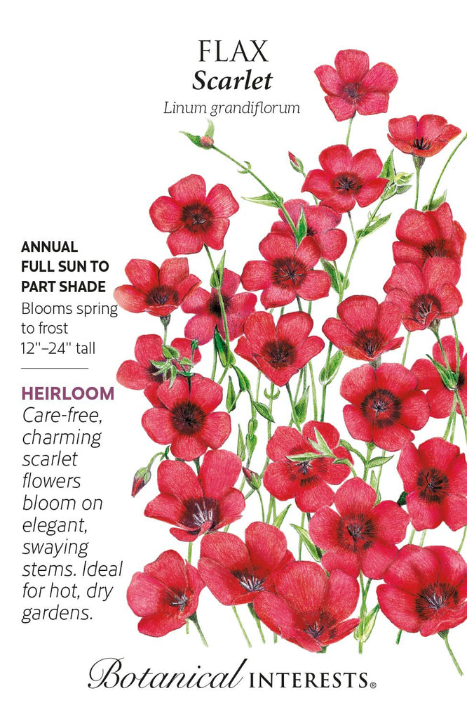 Scarlet Flax Seeds