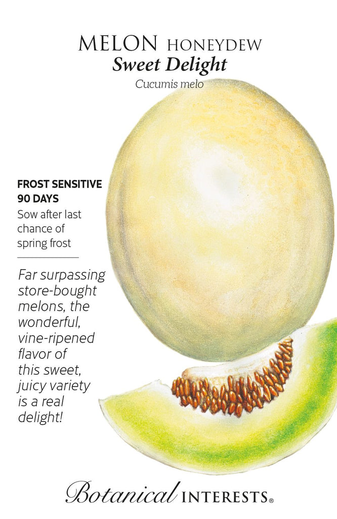 Sweet Delight Honeydew Melon Seeds