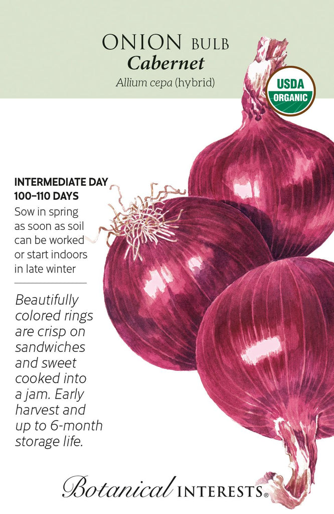 Cabernet Red Bulb Onion Seeds