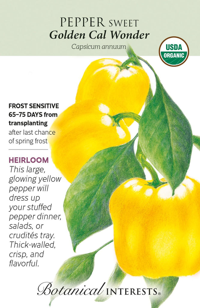 Golden California Wonder Sweet Pepper Seeds