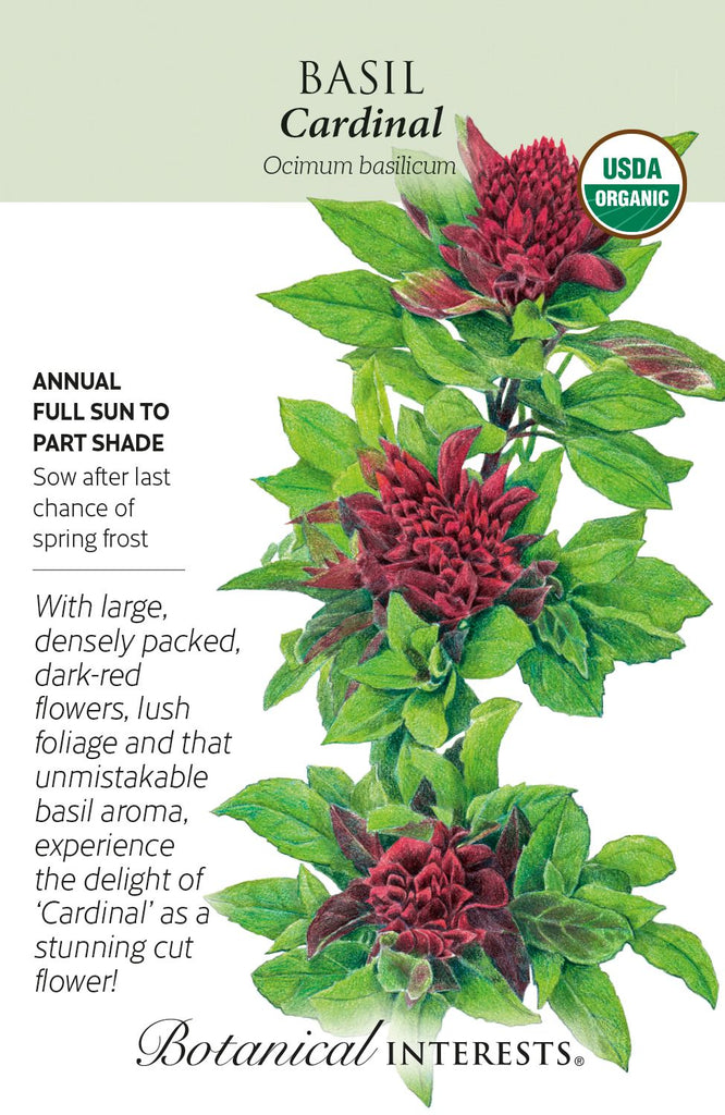 Cardinal Basil Seeds