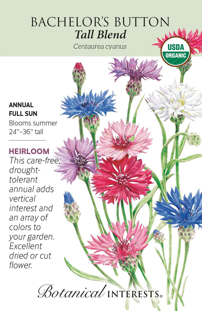 Tall Blend Bachelor's Button Seed