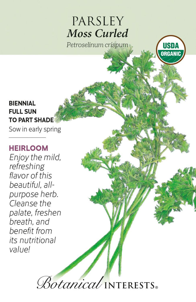 Moss Curled Parsley Seeds