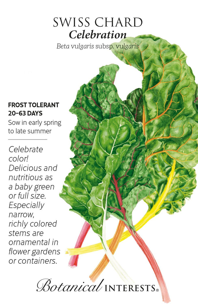Celebration Swiss Chard