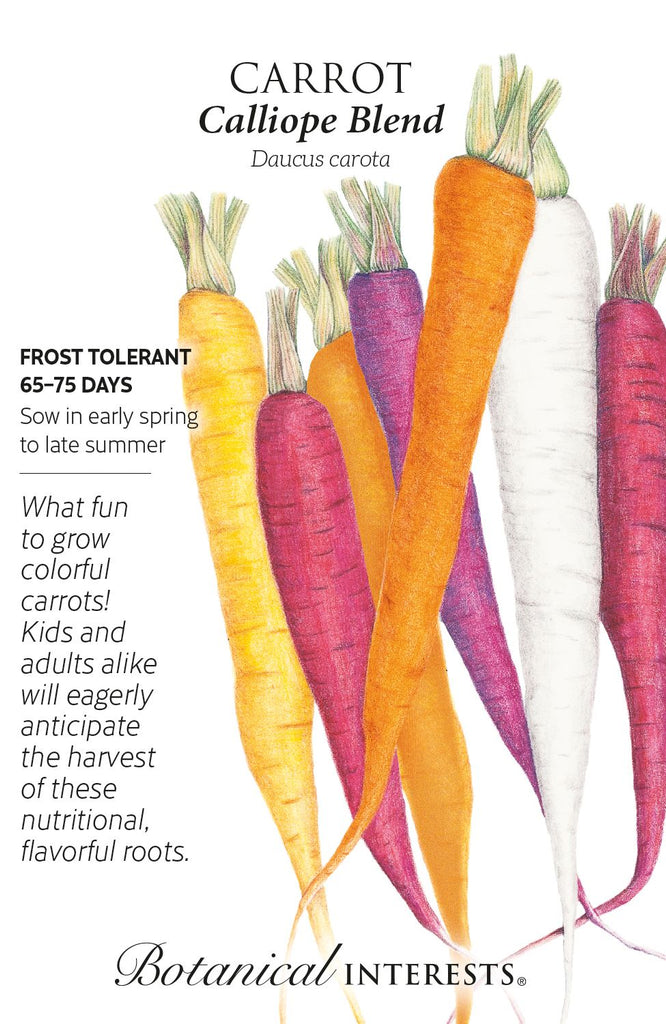 Calliope Carrot Seed