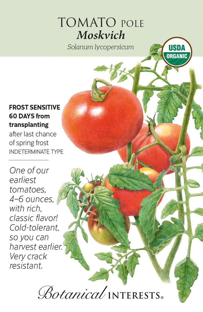 Moskvich Pole Tomato Seeds