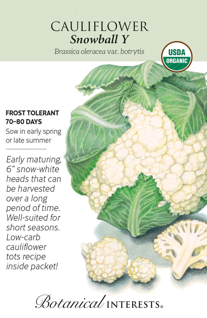 Snowball Y Cauliflower Seed