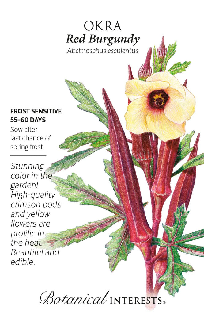 Red Burgundy Okra Seed