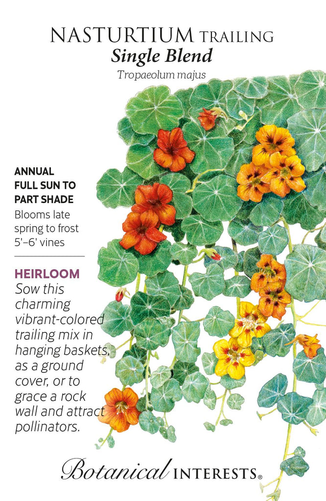 Trailing Single Nasturtium Blend Seeds