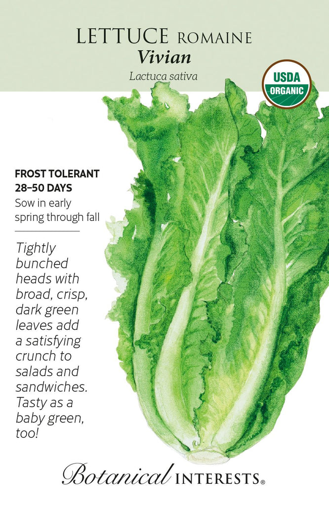 Vivian Romaine Lettuce Seeds