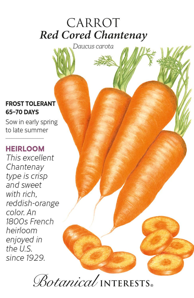 Red Cored Chantenay Carrot Seeds