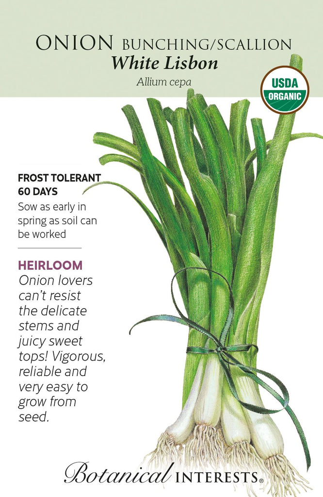 White Lisbon Bunching/Scallion Onion
