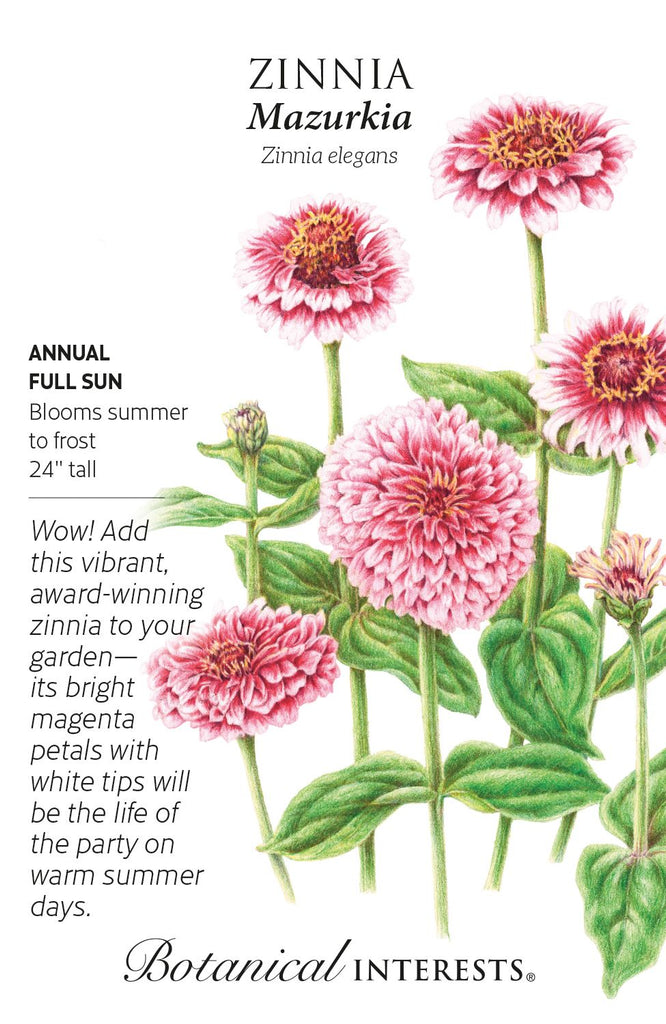 Mazurkia Zinnia Seeds