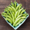 Cascadia Snap Pea Seed