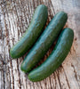 Marketmore 76 Cucumber Seeds