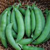 Sugar Snap Pea Seed