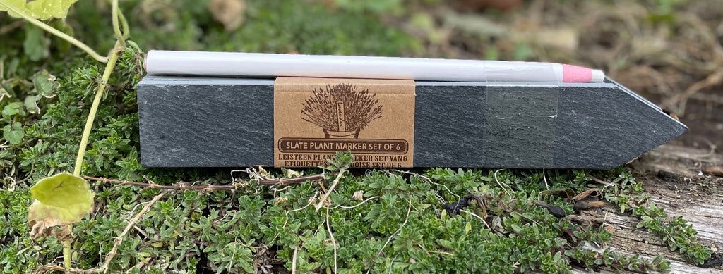 Slate Plant Markers & Soapstone Chalk