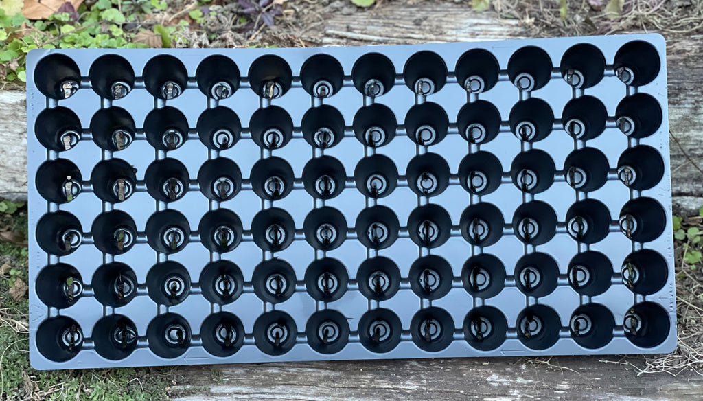 Plug Sheets Set of 5