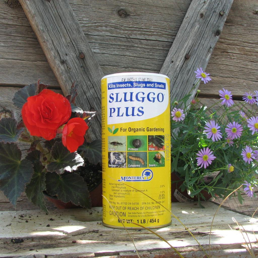 Sluggo Plus Slug, Snail, Earwig, Sowbug Bait