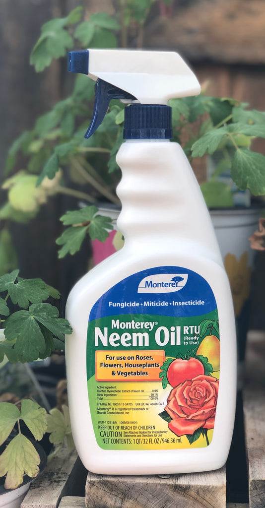 70% Neem Oil
