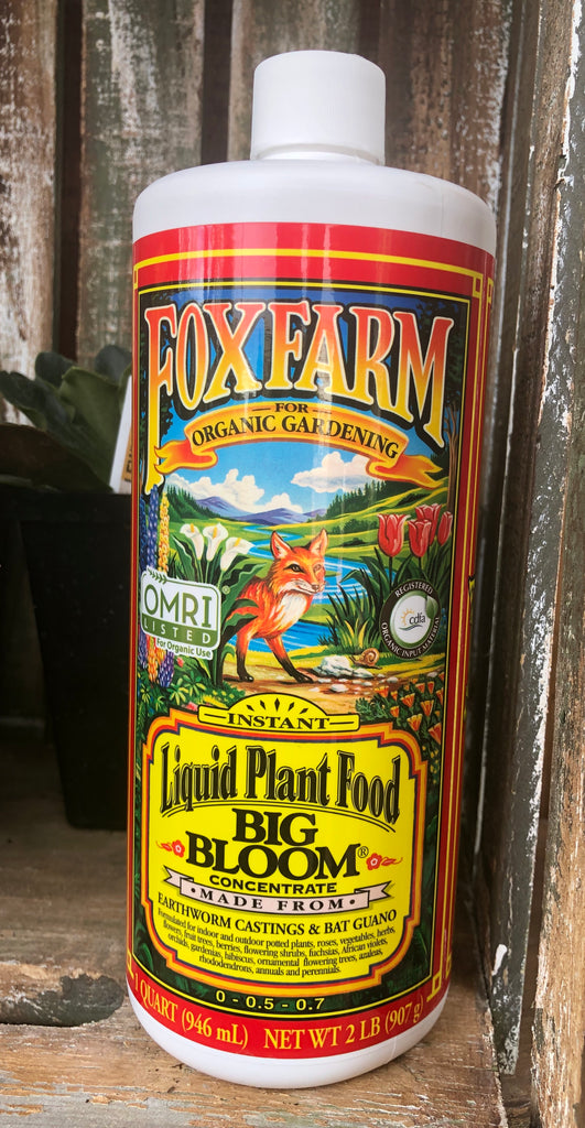 Big Bloom Liquid Plant Food