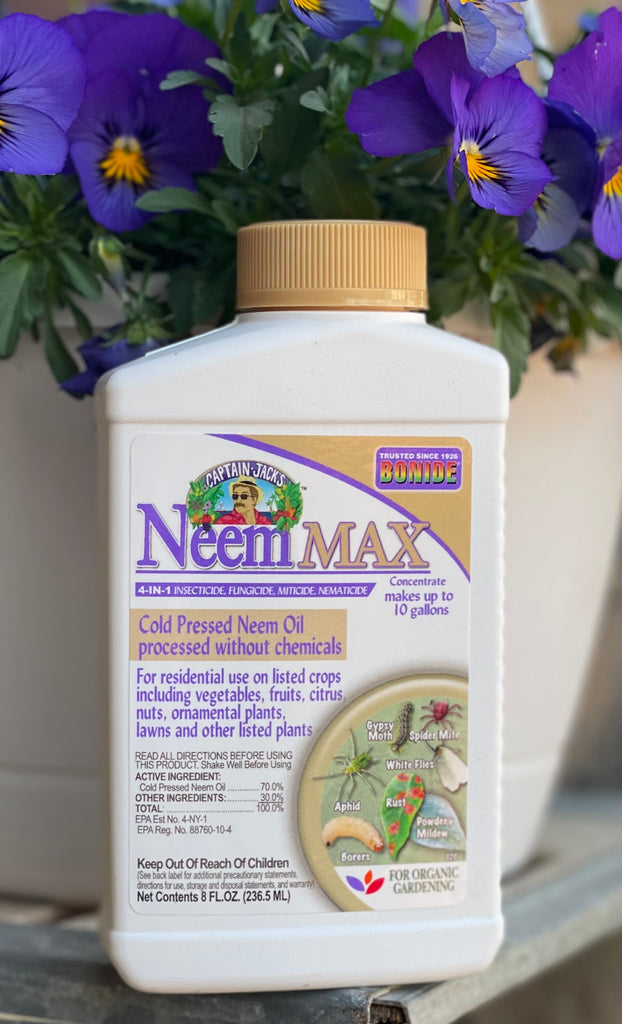 Bonide Neem Max