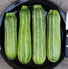 Costata Romanesco Zucchini Squash Seeds
