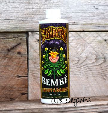 Bembe Sweet & Dandy 0 - 1 - 3