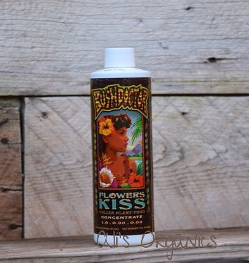 Bush Doctor Flowers Kiss
