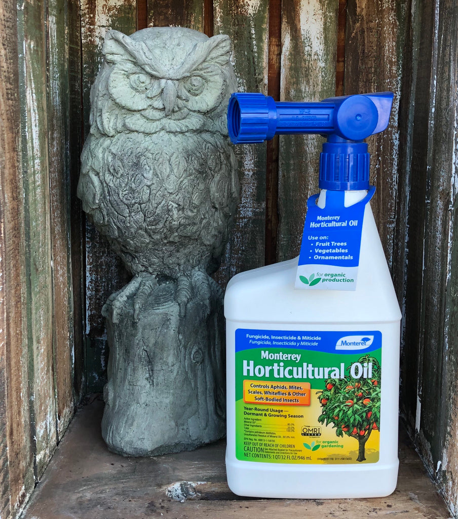 Horticultural & Dormant Oil