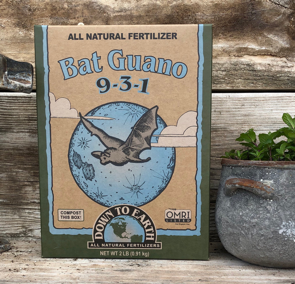 Bat Guano