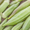 Clemson Spineless 80 Okra Seeds