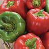 California Wonder Sweet Pepper Seed