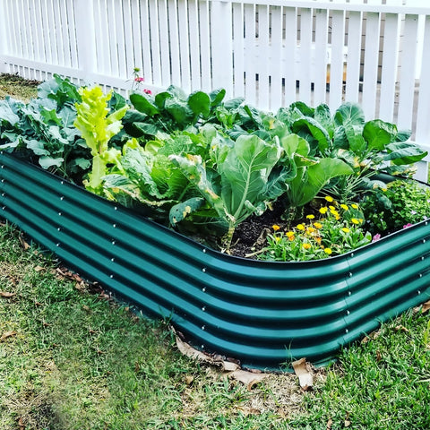 Raised Beds, Elevated Beds & Accessories