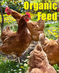 Organic Feed