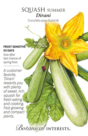 Dirani Summer Squash Seeds