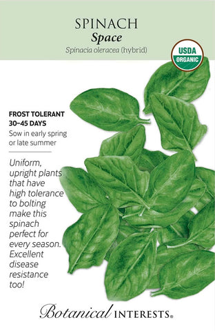 Space Spinach Seeds