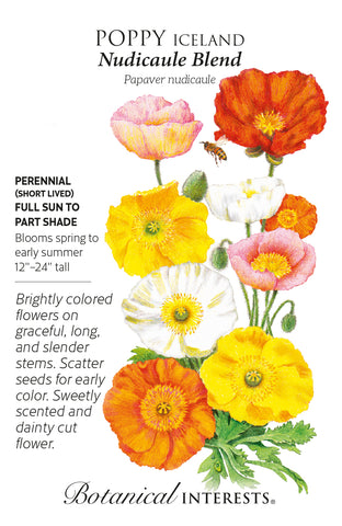 Nudicaule Blend Iceland Poppy Seeds