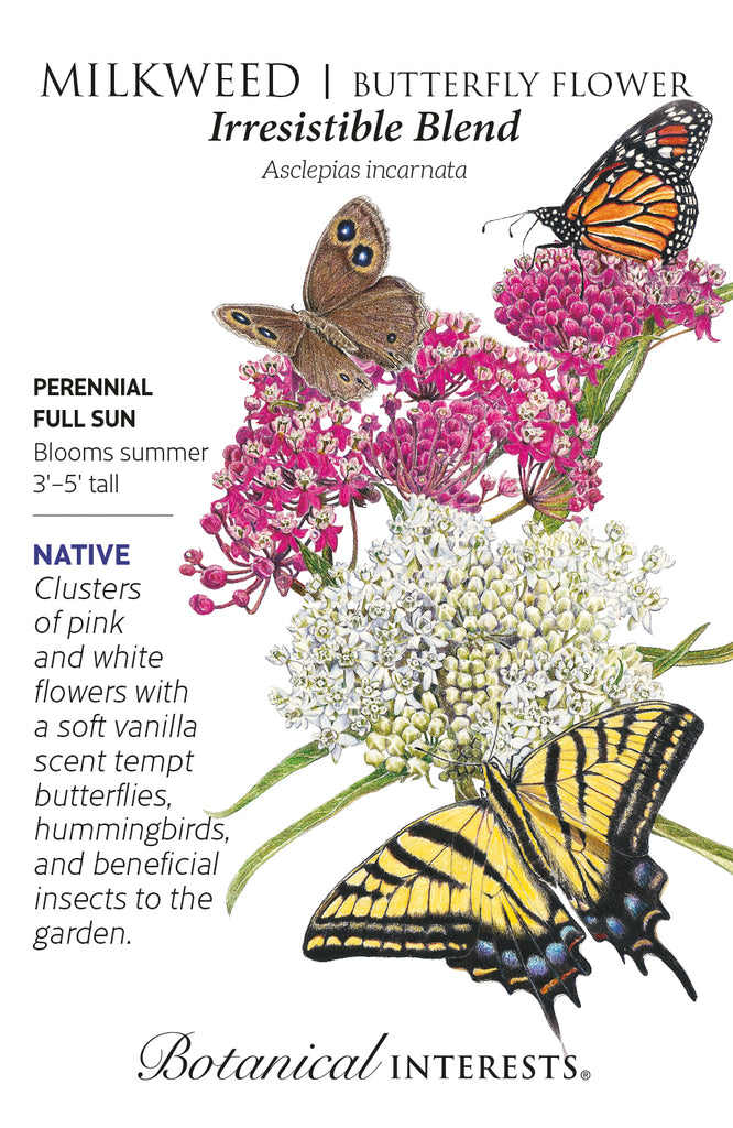 Irresistible Blend Milkweed Butterfly Flower