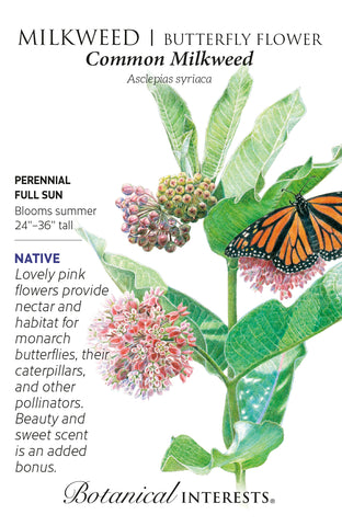 Common Milkweed Seeds