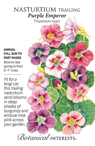 Purple Emperor Trailing Nasturtium Seed