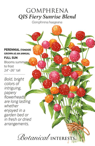QIS Fiery Sunrise Blend Gomphrena Seeds