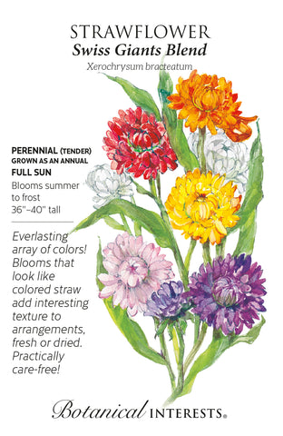 Swiss Giants Blend Strawflower Seeds